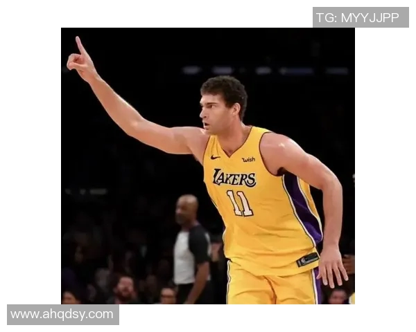 布鲁克洛佩斯的篮球生涯与成就探讨:从新秀到全明星的蜕变之路 布鲁克洛佩斯的篮球生涯与成就探讨:从新秀到全明星的蜕变之路