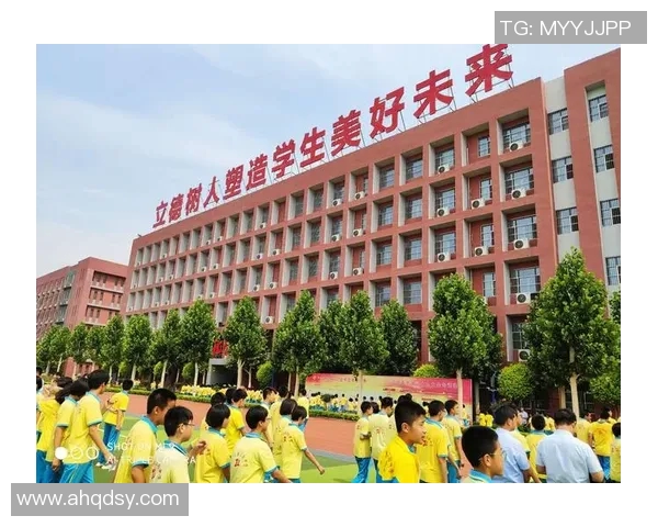 程帅澎的成长之路与奋斗精神：从平凡到卓越的励志故事