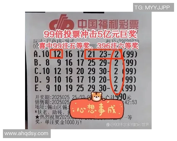 江苏十五选五开奖结果分析与预测助您轻松掌握购彩技巧与中奖机会