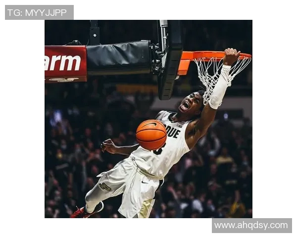 杰登艾维的崛起之路：从大学篮球新星到NBA未来之光